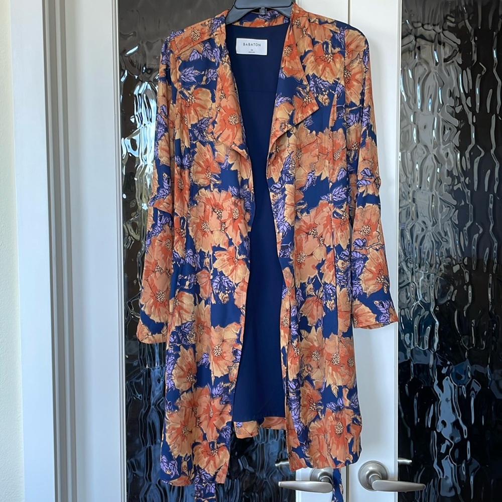 Aritzia Coat